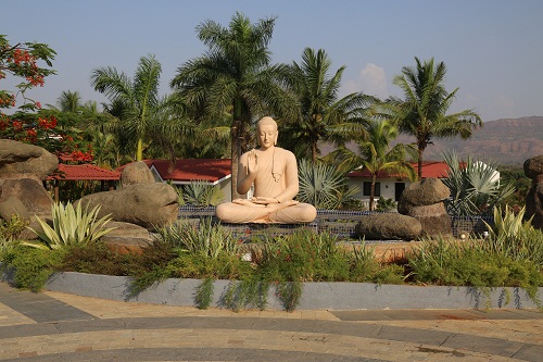 Moksh Farms-Gallary